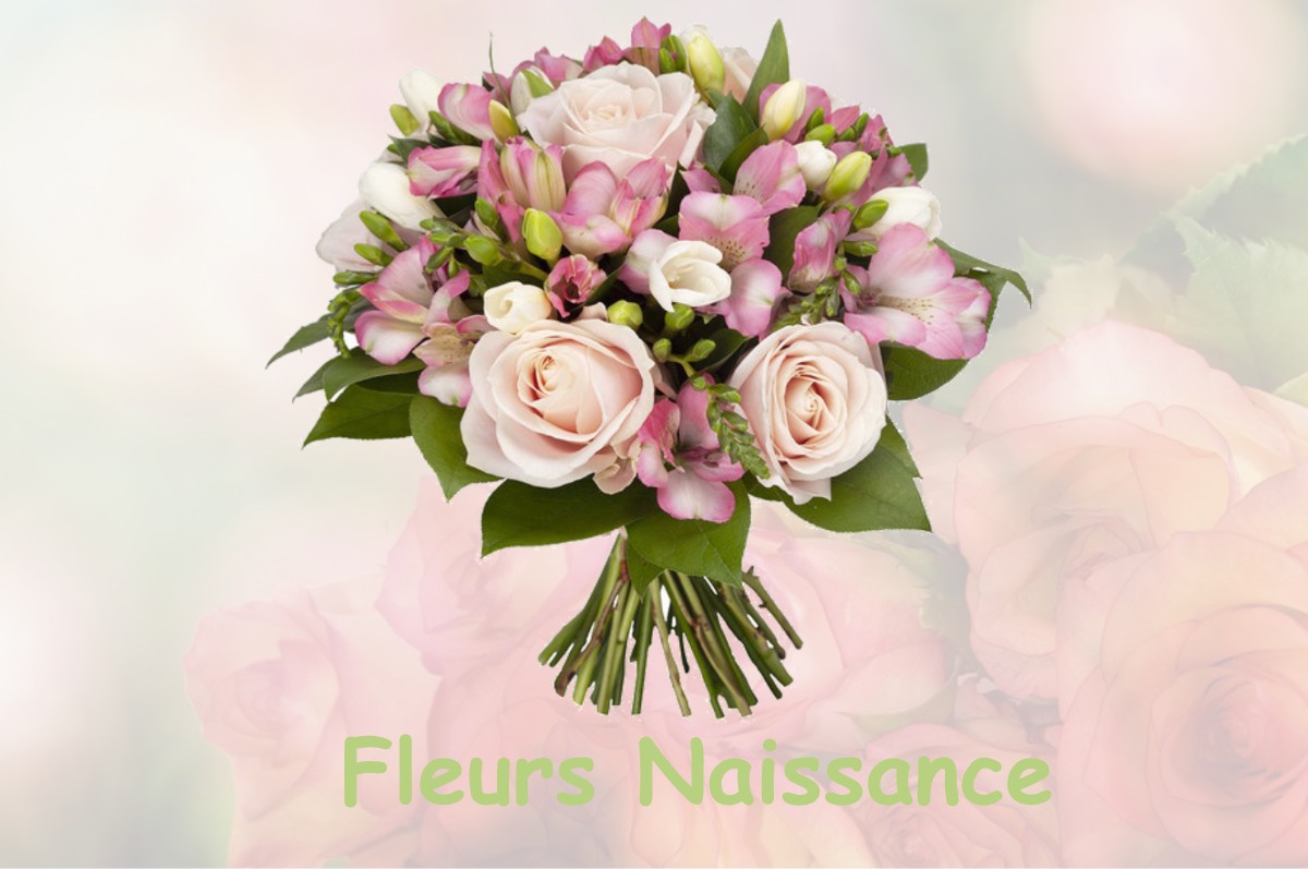 fleurs naissance FOURCATIER-ET-MAISON-NEUVE